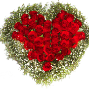 val-rose2
