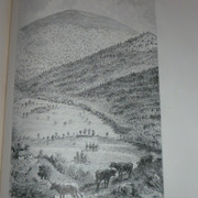 P1140834