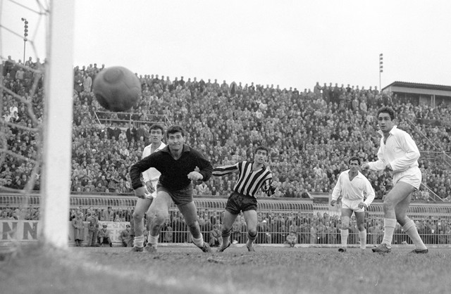 1964