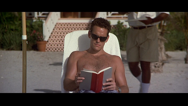 Matt-Dillon-Wild-Things