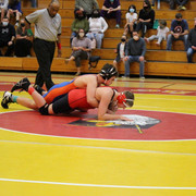 IMG-0378