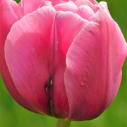 DSCN0249