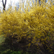 P5041563