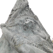 DSCN7831
