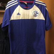 schalke-tee-train1