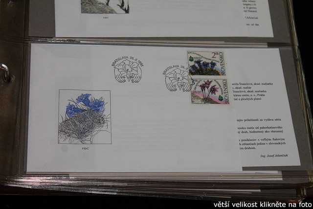 IMG-2784