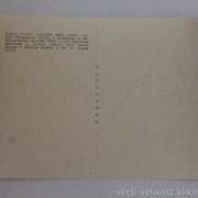 IMG-0342