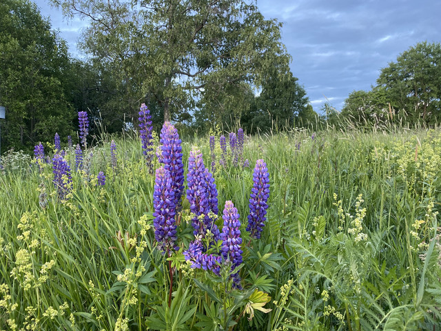 3-AC63731-9865-49-F4-B63-A-BC6-E3-B77-F8