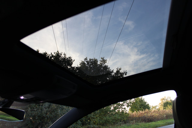 IMG-0397