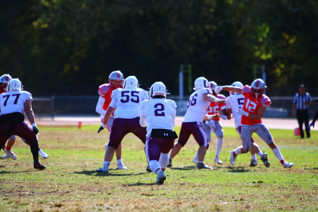 IMG-0512.jpg