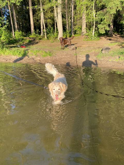 A2031658-50-E9-42-E4-BE82-02085-B891-E39