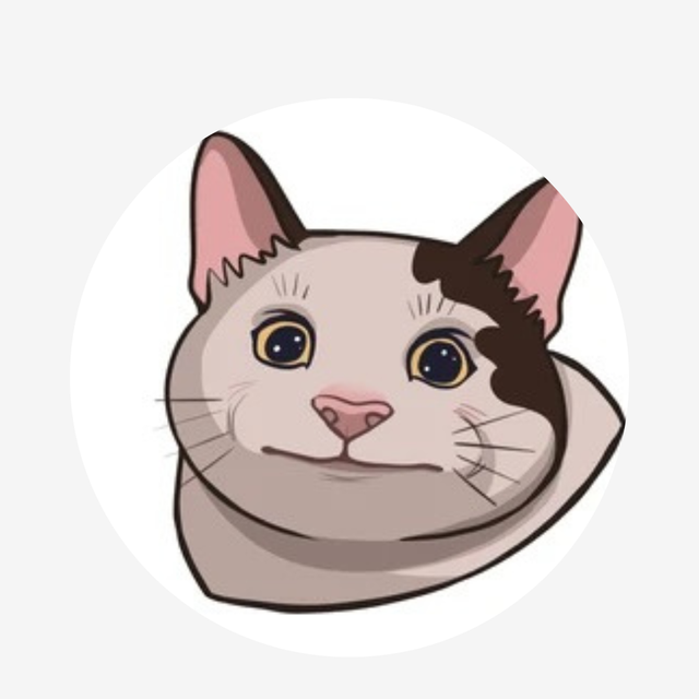 LeraCoin
