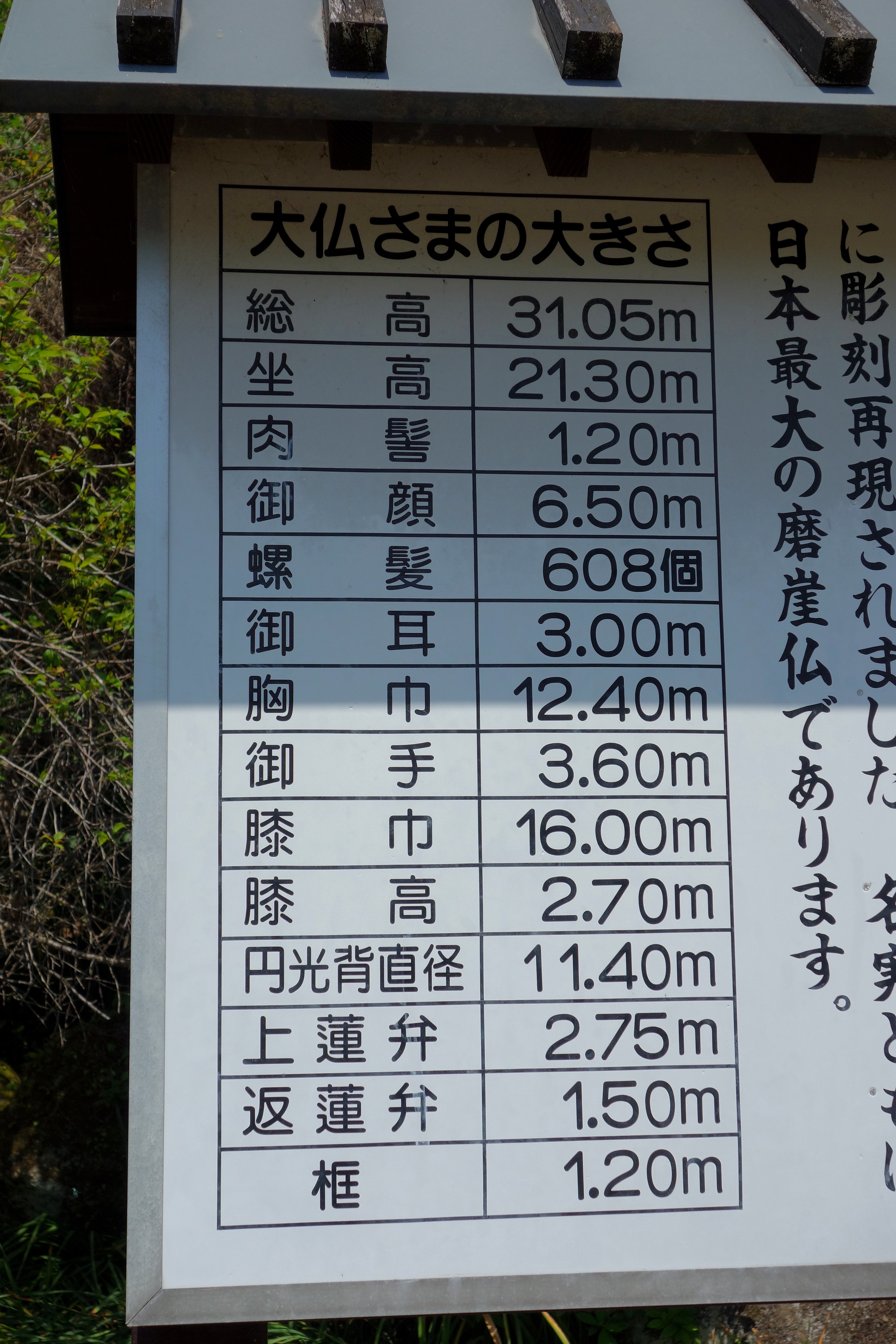 DSC03176