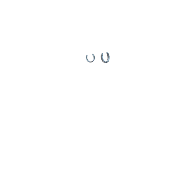 hi-Res-No-Bg15
