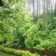 IMG-20230519-162428
