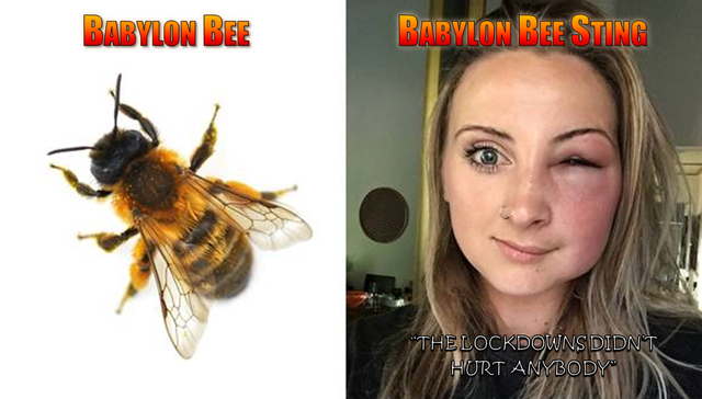bablyon-bee-2