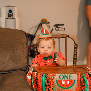 IMG-7317