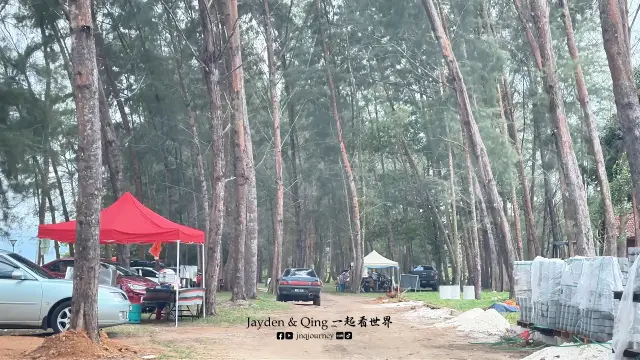 Jason Bay Public Beach4.webp