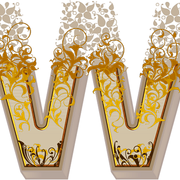 w 740485