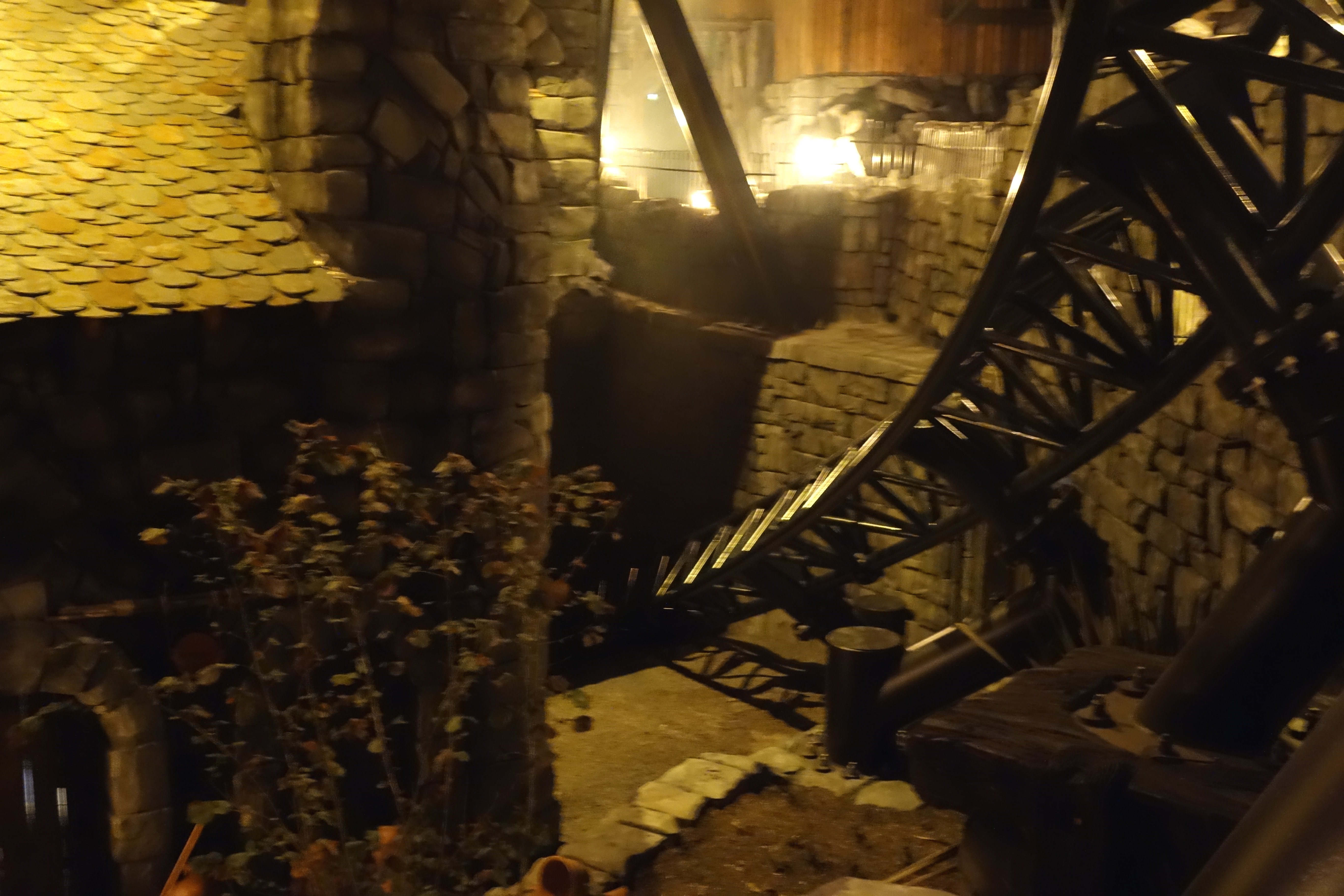 DSC00501