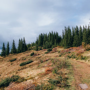 IPB Image