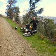 IMG 0024