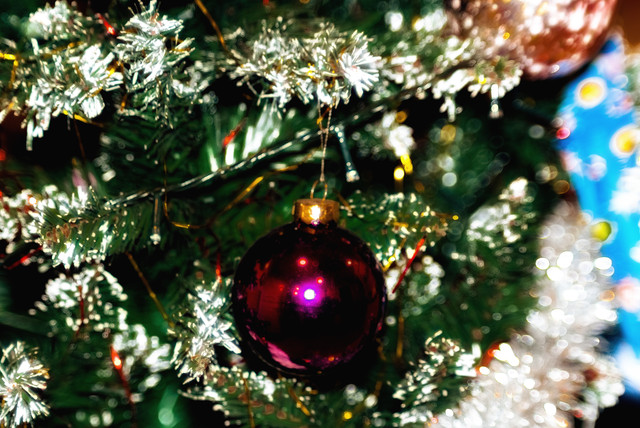 DSCF3227-Edit