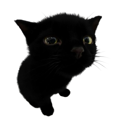 b6ab5f0ae4f2eea9a8d4c7e911b02e51 removebg preview.png
