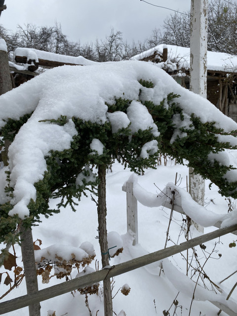 IMG-5432