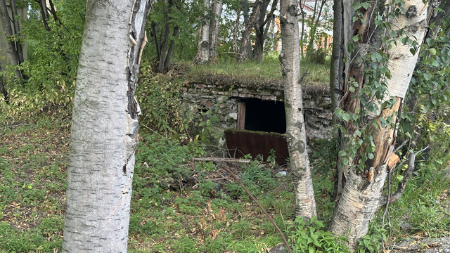 IMG 5989.jpg