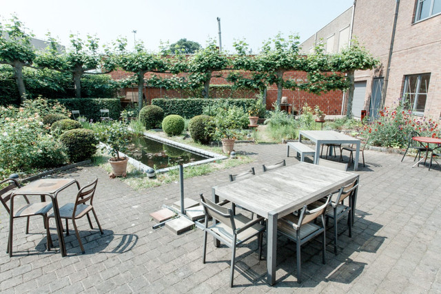 jardin3.jpg