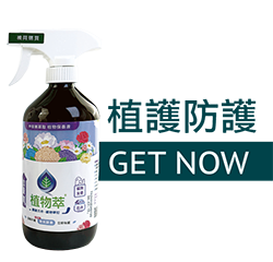 分類六