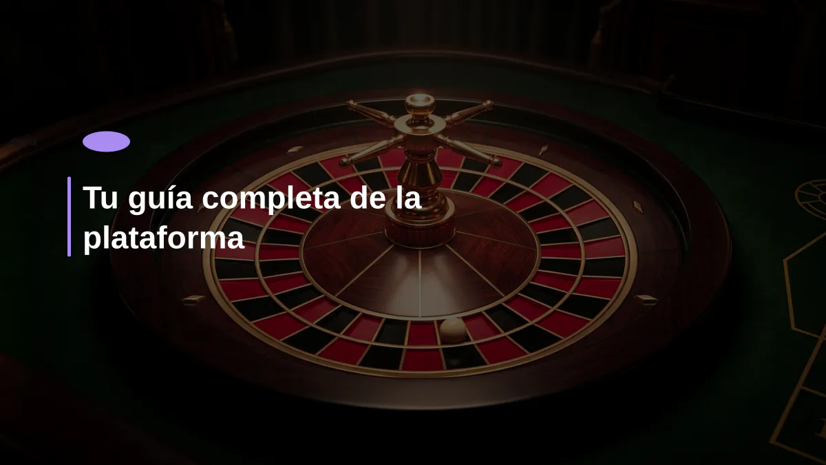 Tu guía completa de la plataforma