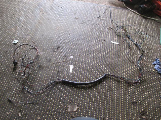 IMG-4312.jpg