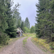 IMG 4403