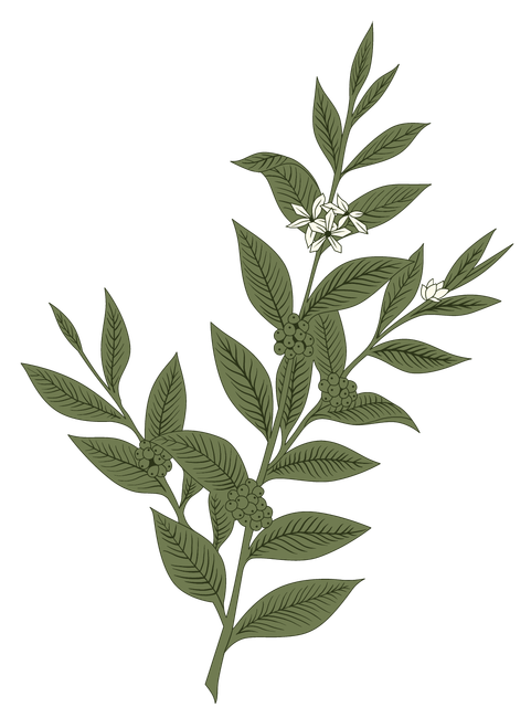 415 (1).png
