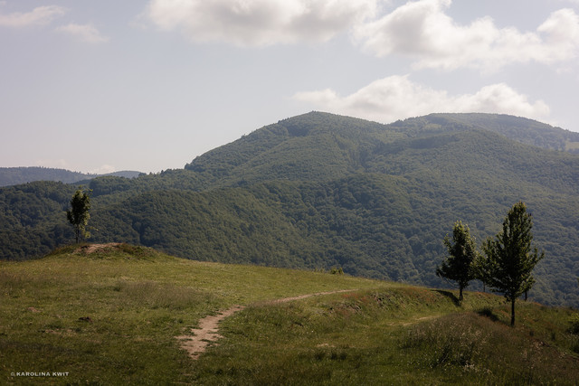 IMG-0149