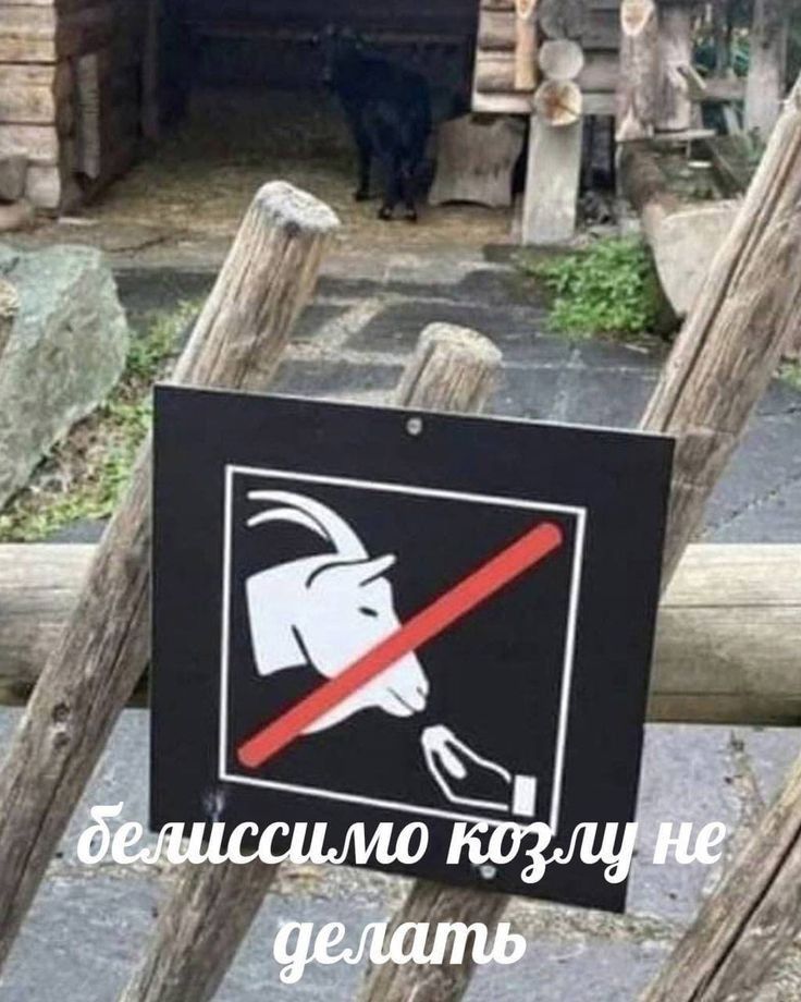 [Изображение: 74ada931871f.jpg]