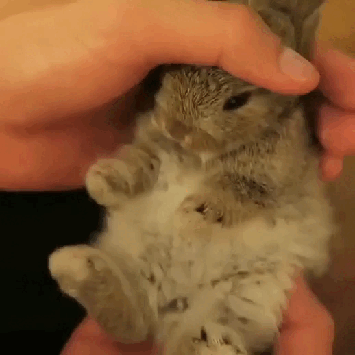333.gif