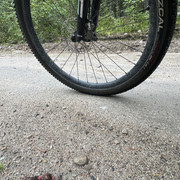 IMG 4968