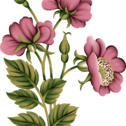 aa4b428191d74e2eef32e8b24c8fe052