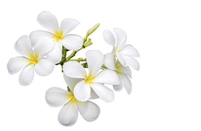shutterstock 589497710