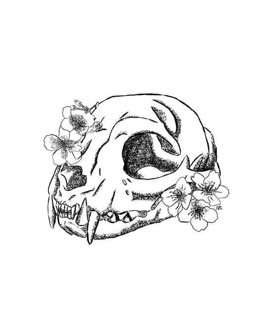 Alex (1).png