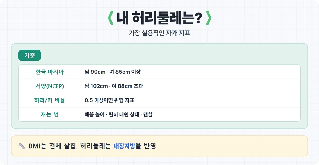 허리둘레 복부비만 기준표 카드