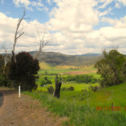 IMG 0053