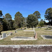 IMG 3049