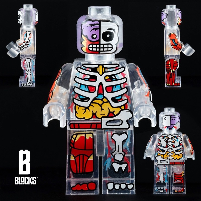 Transparent Skeleton
