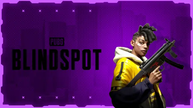 pubgblindspot