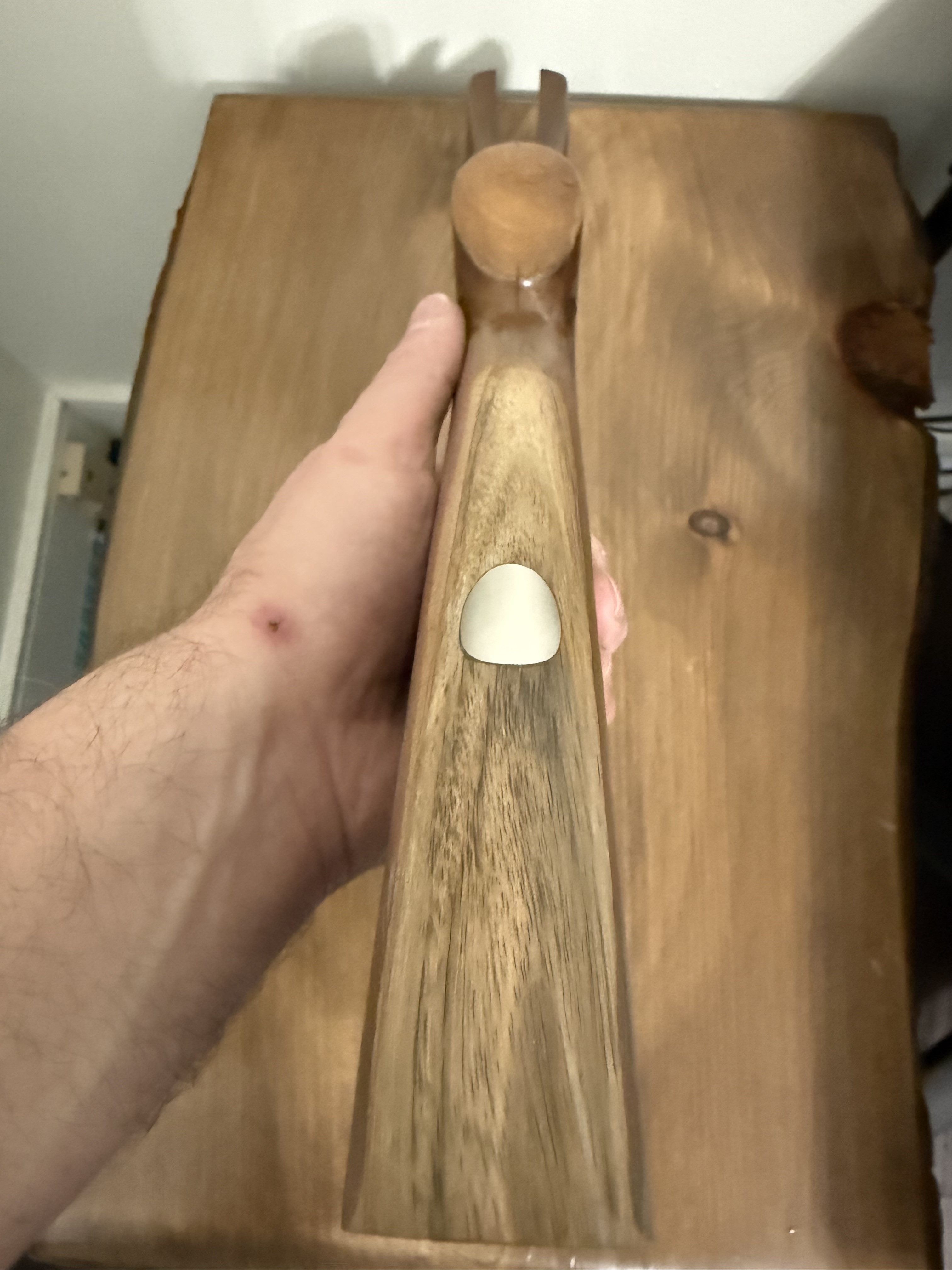 [Linked Image from i.ibb.co]