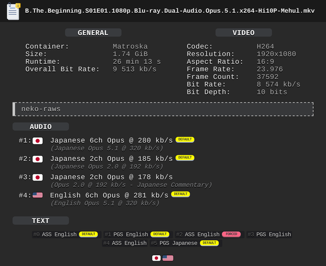 B the Beginning Remux MediaInfo